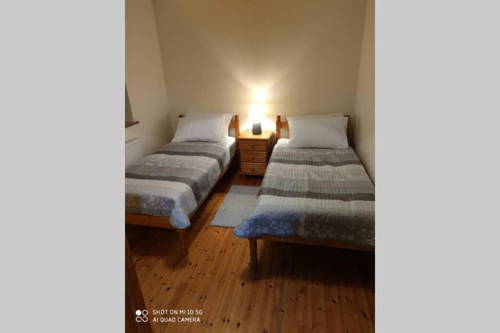 Townhouse 3 Barrow Lane Villa Bagenalstown Ngoại thất bức ảnh